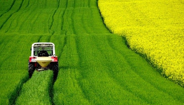 Guia de cultivo de esparragos